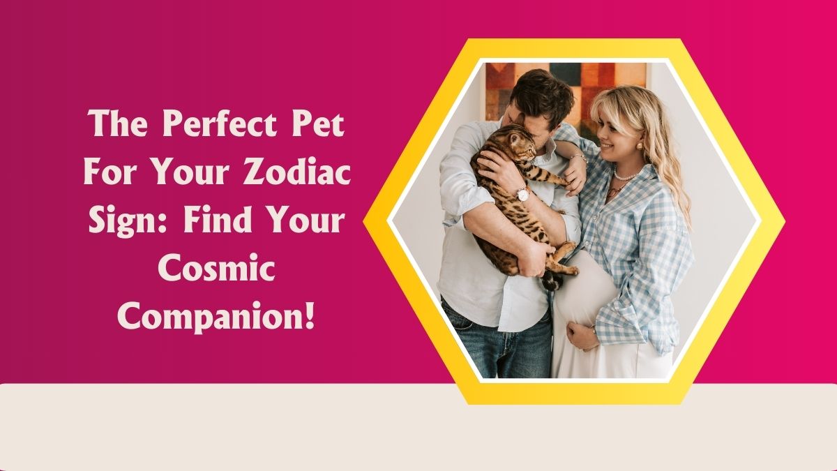 The Perfect Pet For Your Zodiac Sign: Find Your Cosmic Companion!