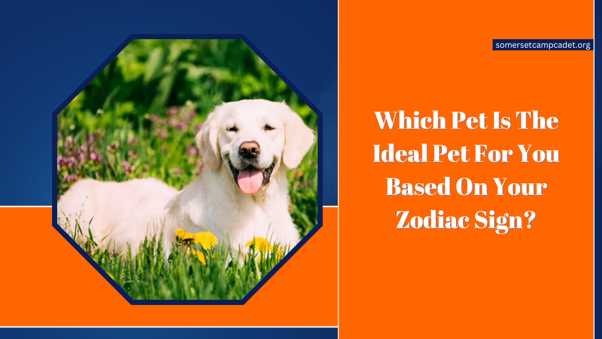 Which Pet Is The Ideal Pet For You Based On Your Zodiac Sign?